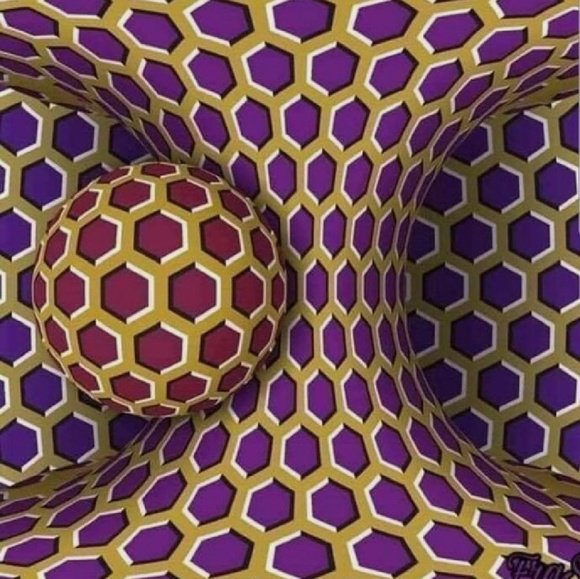 human OR bird - Picture 2 of 2